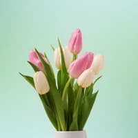 flowers icon