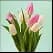flowers icon