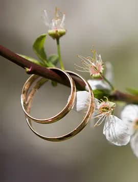 Wedding rings on flowers